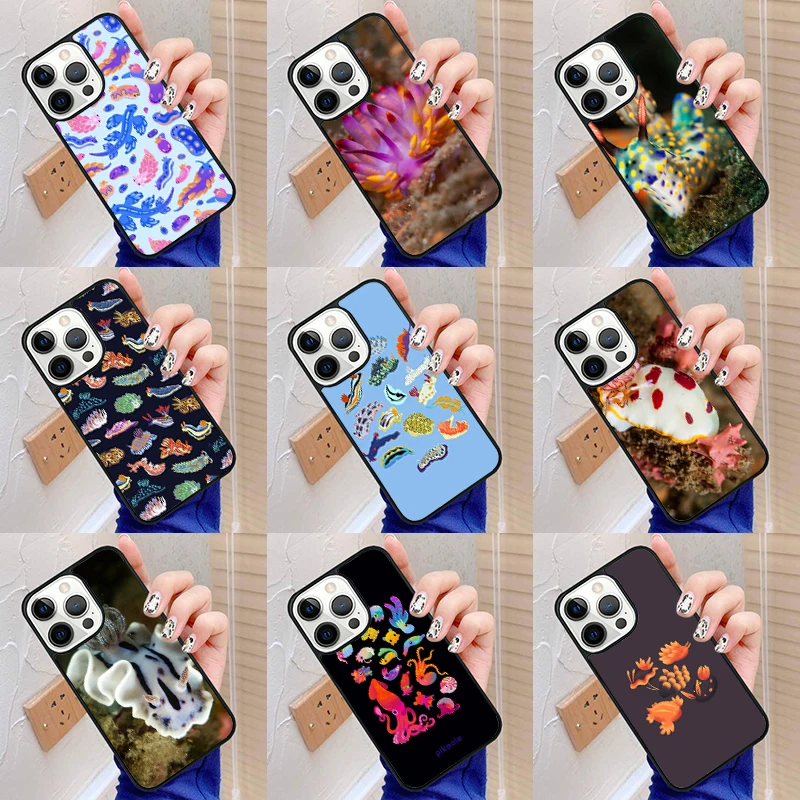 Nudibranch Sea Slug…