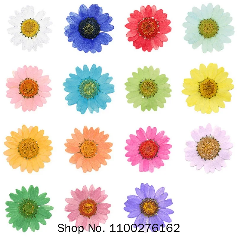 360pcs Pressed Press Dried Daisy Dry Flower Plants For Epoxy Resin Pendant Necklace Jewelry Making Craft DIY Accessories