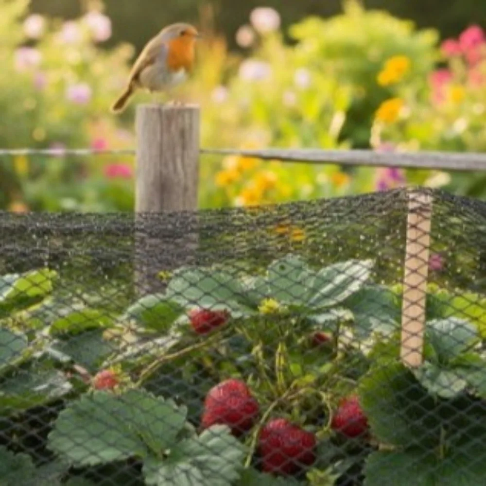 

Cat Dog Net Anti Bird Garden Netting Mesh Heavy Duty Black Pond Fencing Mesh Reusable PE Material Plant Netting Bird Protection