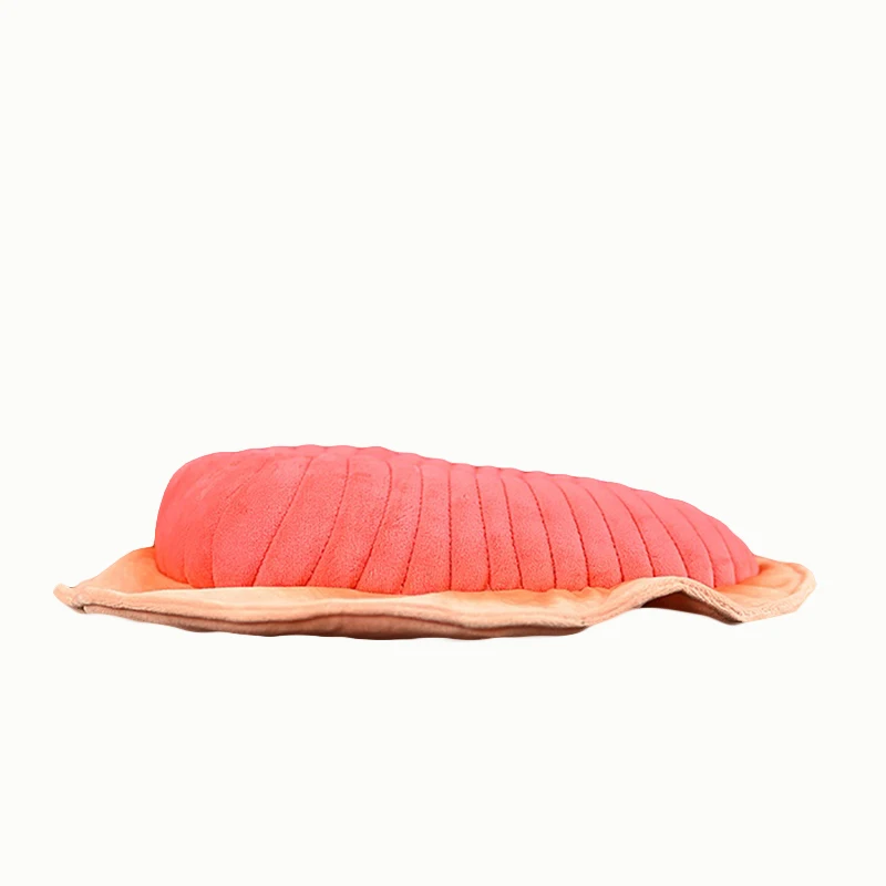 

Realistic Dickinsonia Plush Toy Jellyfish Plushie Ediacaran Paleontology Peluche Lifelike Stuffed Animals Simulation Doll Gift