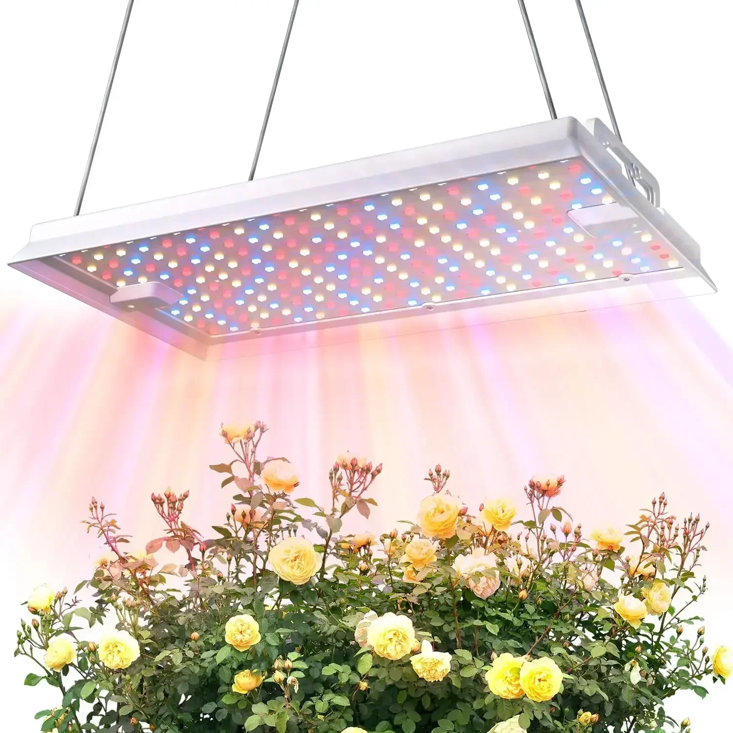 

Plant Grow Light, [Smart APP & Expansive 2x3 Ft Coverage] Genuine 100W Output LED Full Spectrum for Indoor Plants, 8-Level Brigh