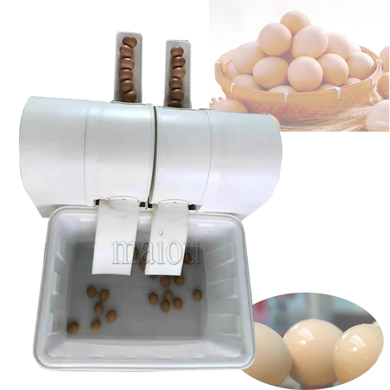 Environment-Friendly Plastic Material Automatic Fresh Egg Cleaning Washing Machine Dirty Duck Egg Washer