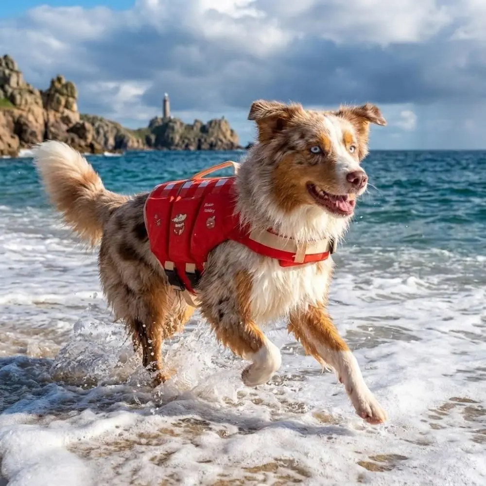 Waterproof Dog Life Jacket Adjustable High Buoyancy Dog Swimming Suit Thick Sponge Pad Breathable Pet Life Vest Spring Summer view 3