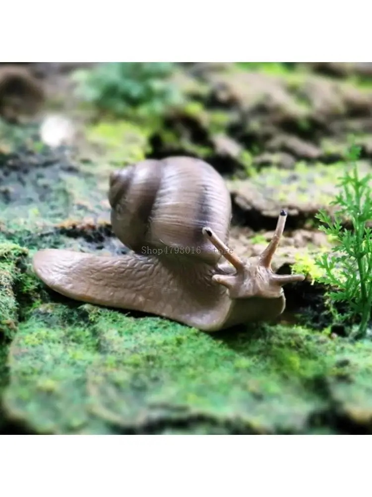 19-個の科学おもちゃ昆虫置物子供のための教育早期学習面白いギフト