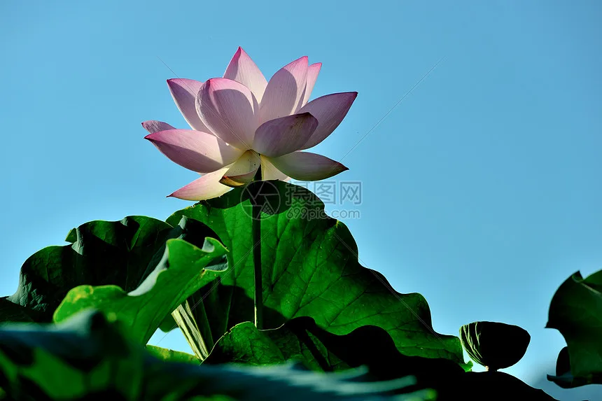 

2 шт. стальные металлические приводные валы CVD для радиоуправляемой машины Rlaarlo Omni Terminator, запчасти для тюнинга и аксессуары