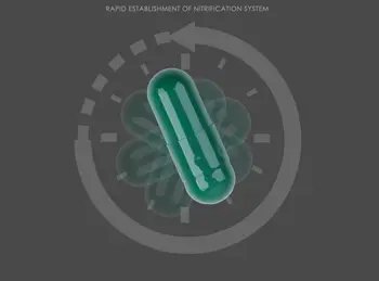 10 best sales Batteri dell'acquario - №3