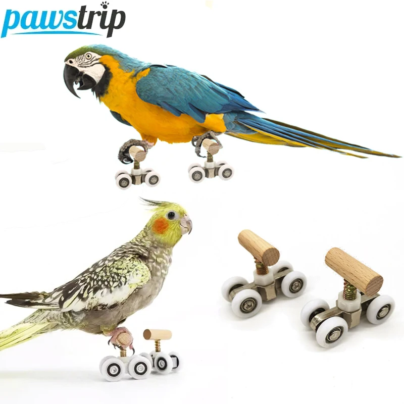 1 Pair Parrot Roller Skates Funny Bird Toys Mini Parrot Training Toy Bird Toys for Parrot Intelligence Training Bird Accessories