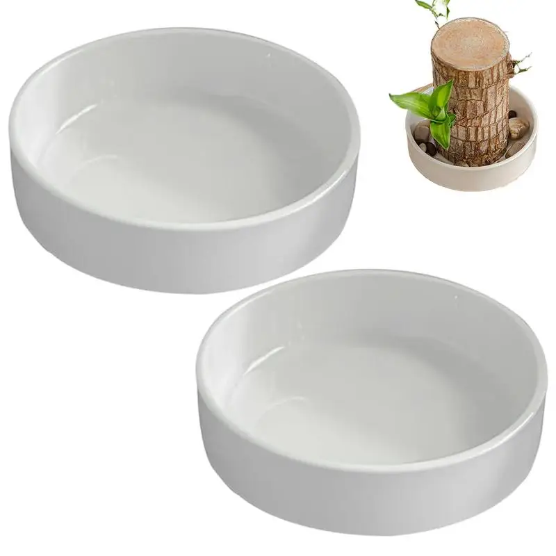 2pcs Brazilian Wood Plates Lucky Wood Hydroponic Tree Stump Desktop Plants Hydroponic Plant Tray Mini Brazilian Lucky Wood Tray