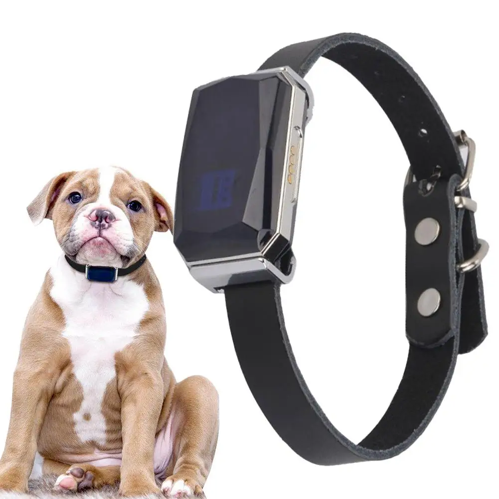 Per G12 Pet Collare Localizzatore Per Gatti e Cani Cuccioli Anti Perso Localizzatore Globale A Distanza 500mA Smart Impermeabile Localizzazione GPS Collare R2U9