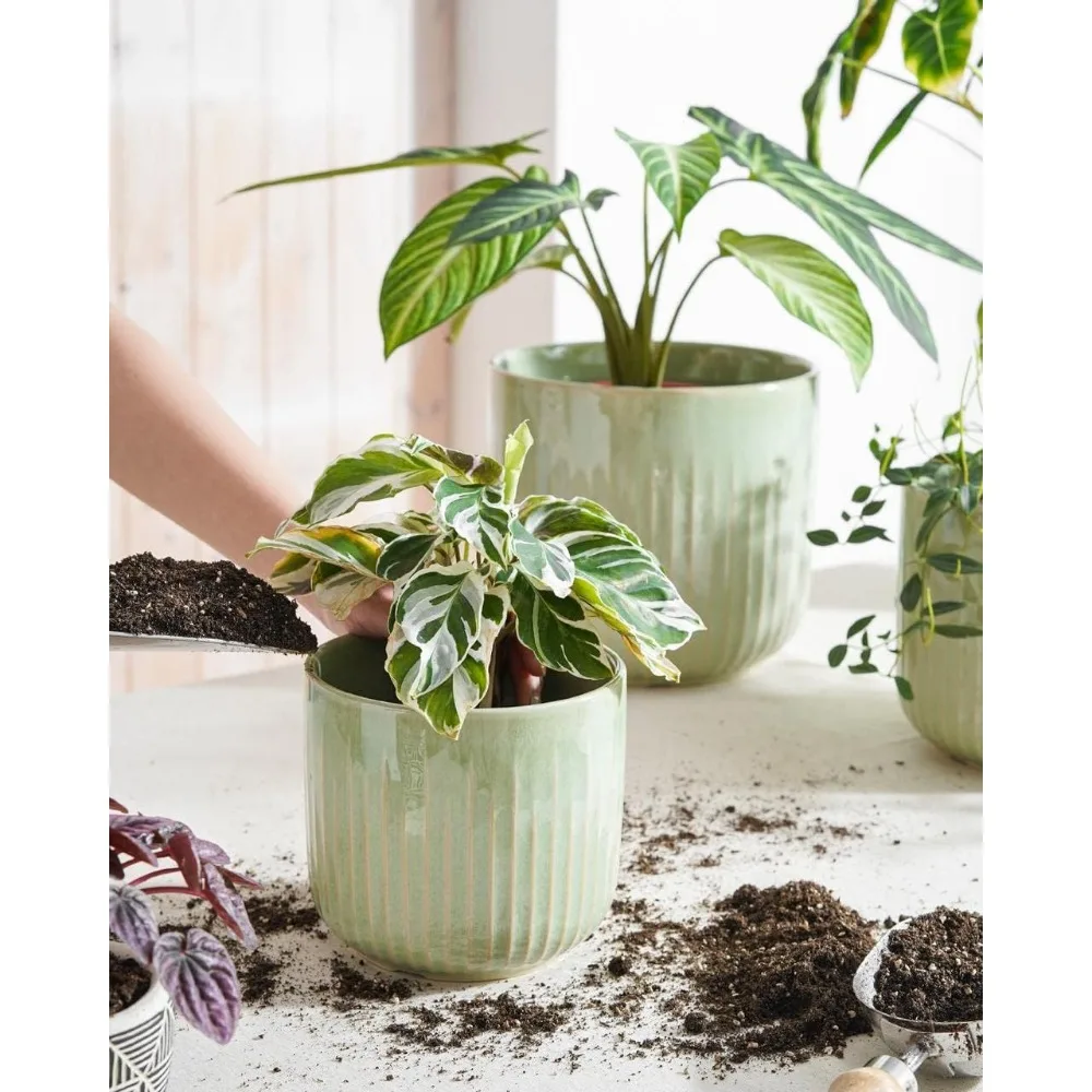 

Набор рифленых керамических горшков из 3 предметов - комнатные цветочные горшки шалфейного зеленого цвета с дренажем для суккулентов, трав, домашнего декора