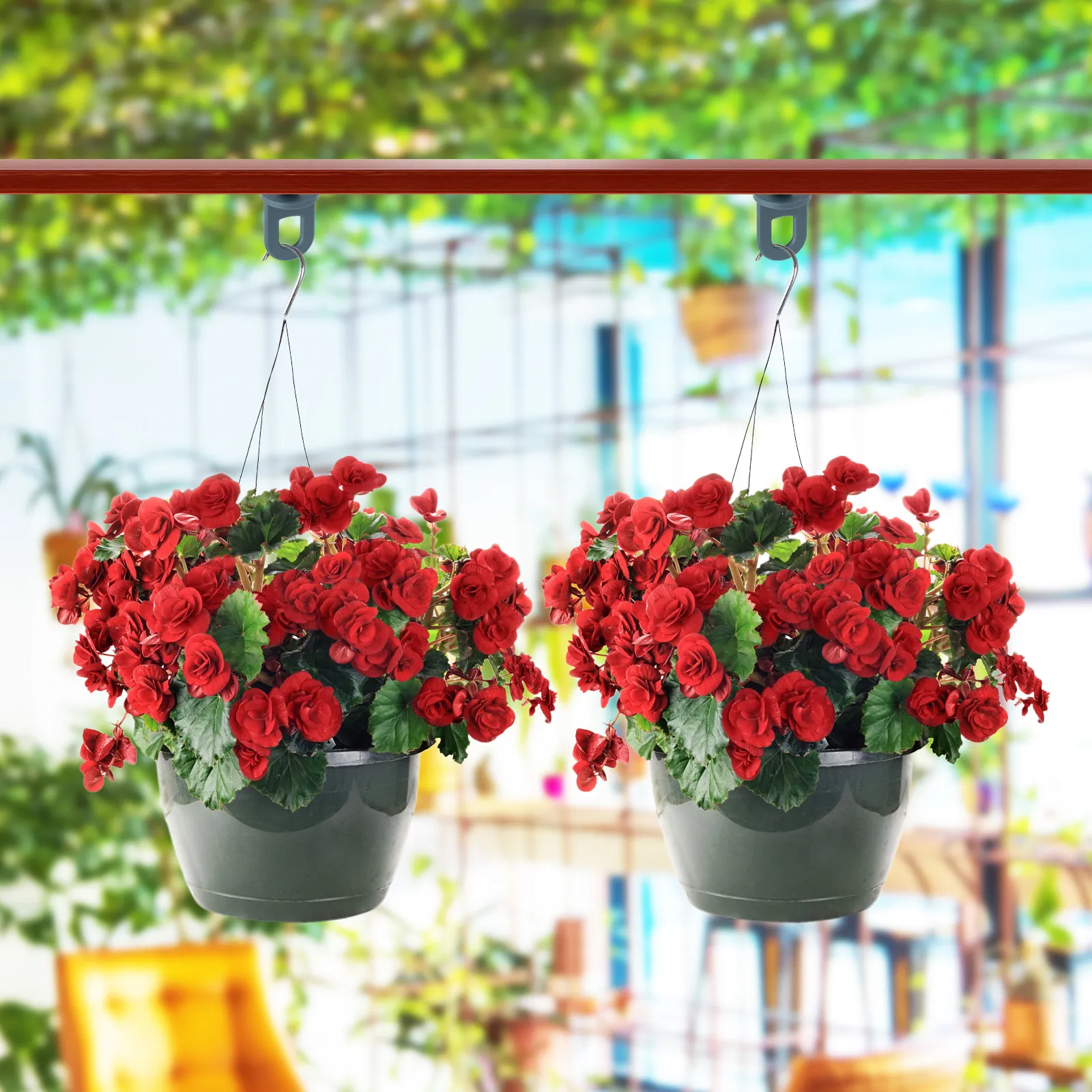 10pcs 화분 걸이 후크 플라스틱 꽃 바구니 걸이 분 - Bonsai Garden Shop 리뷰 및 가격