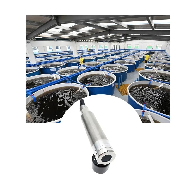 

Water Quality Analyzer Digital Temperature DO Sensor Corrosion Resistant Optical Dissolved Oxygen Meter Aquaculture Fish Farm