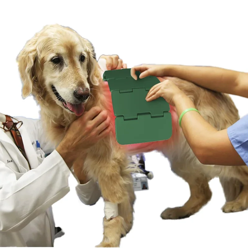 Veterinary Instrume…
