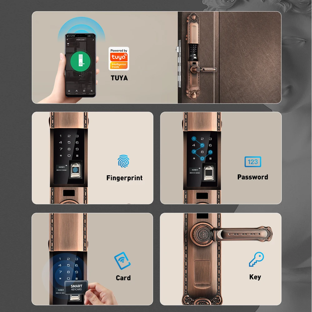 工場メーカーの高級ヴィラヨーロッパTuyaスマートドアロック亜鉛合金指紋リーダーセキュリティ木製ドアクラウド用