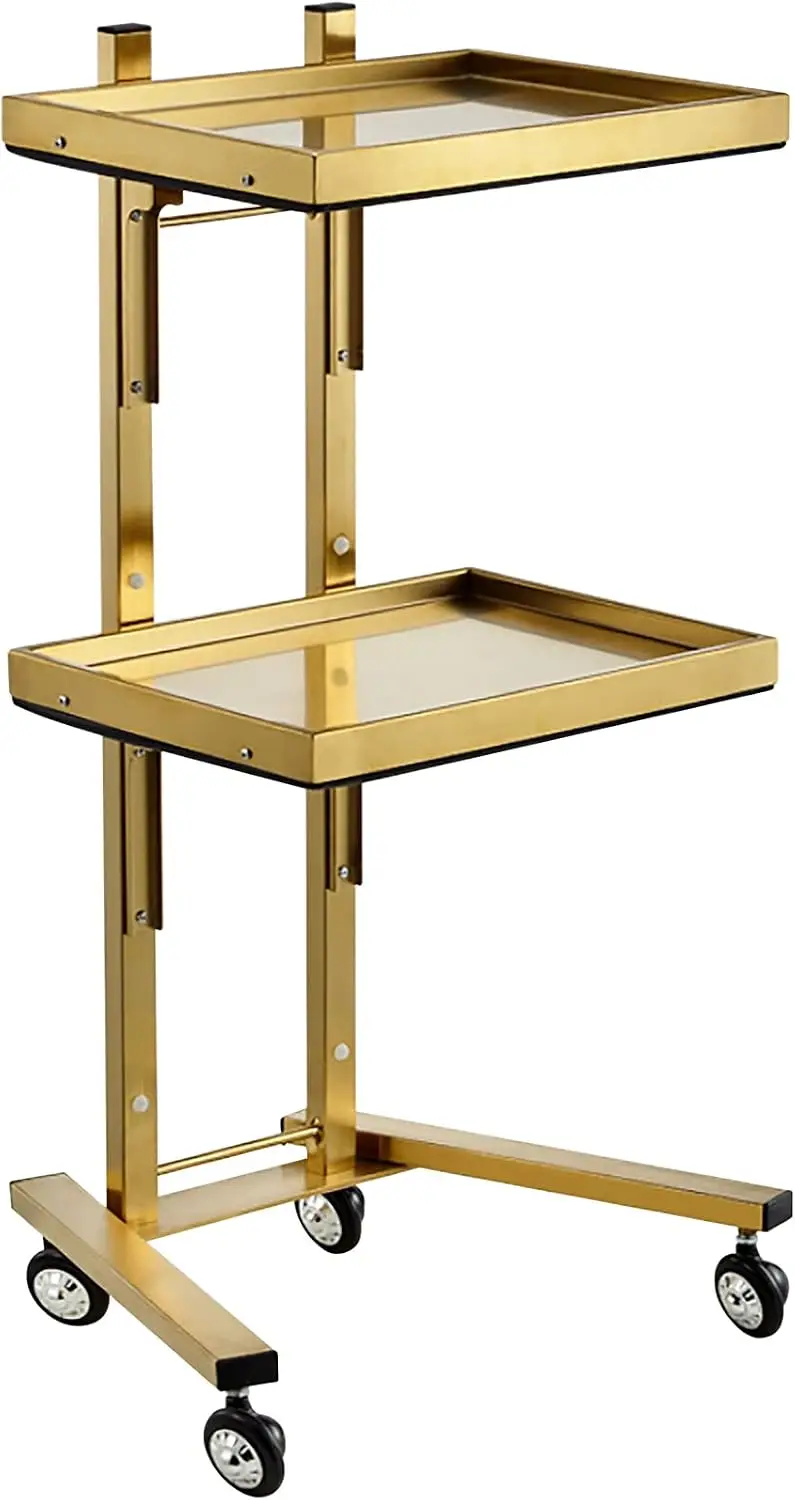 Multifunctional 2-Tray Utility Cart on Wheels - Gold 2-Level Medical Trolley Cart - Mobile Storage Tray Cart for Dental Tools, C