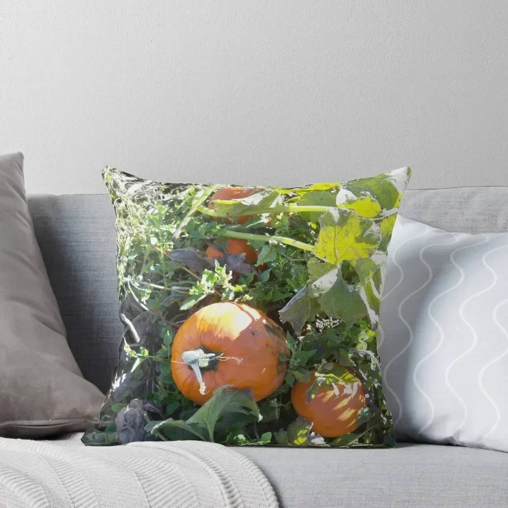 

Pumpkin Throw Pillow Luxury Sofa Cushions christmas cushions covers bed pillows Decorative Pillow Covers For Sofa pillow