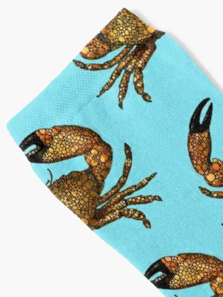 Рисунок 2 - Stone Rock'd Stone Crab от