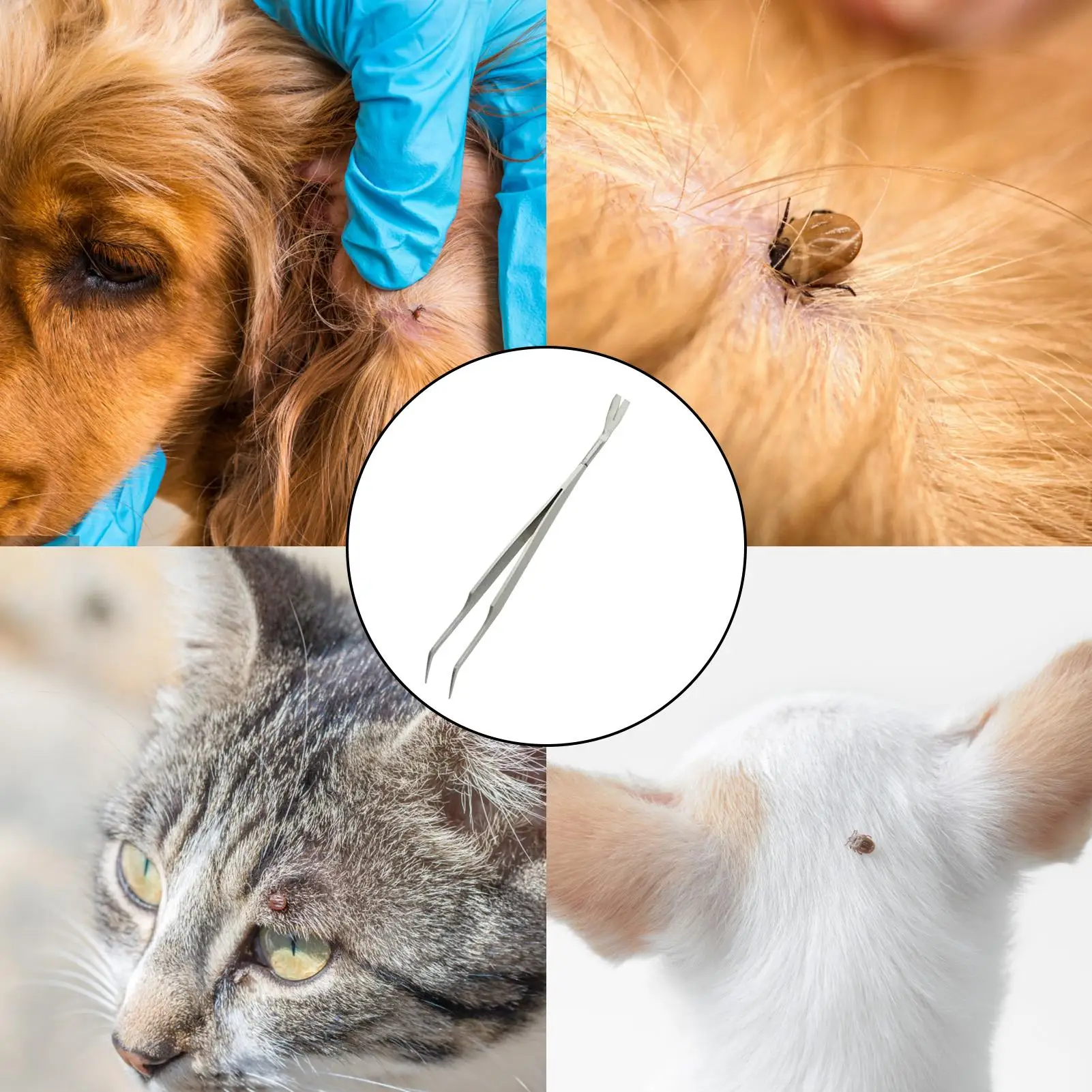 2 in 1 Tick Remover Tool Professional Removal Tweezers for Humans & Pets Dog Cat Flea and Tick Removal Portable Tools with Box - view 5
