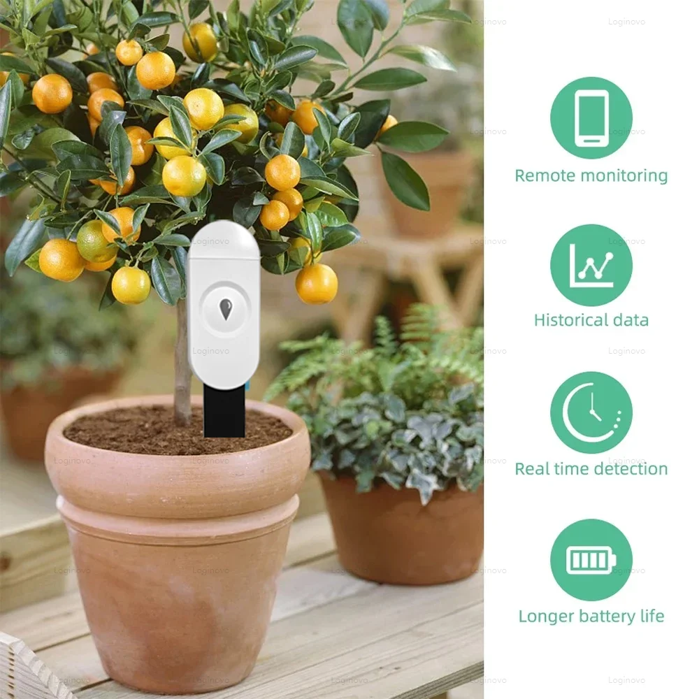 Tuya Zigbee Soil Moisture Tester Temperature and Humidity Sensor Thermo Hygrometer Home Automation Garden Irrigation Detector