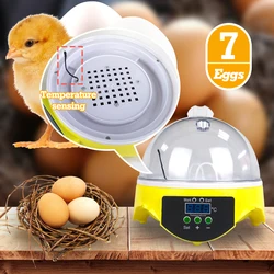 7 Eggs Automatic Egg Incubator Brooder 110/220V Poultry Incubator with Digital Intelligent Temperature Control Heating Equipment