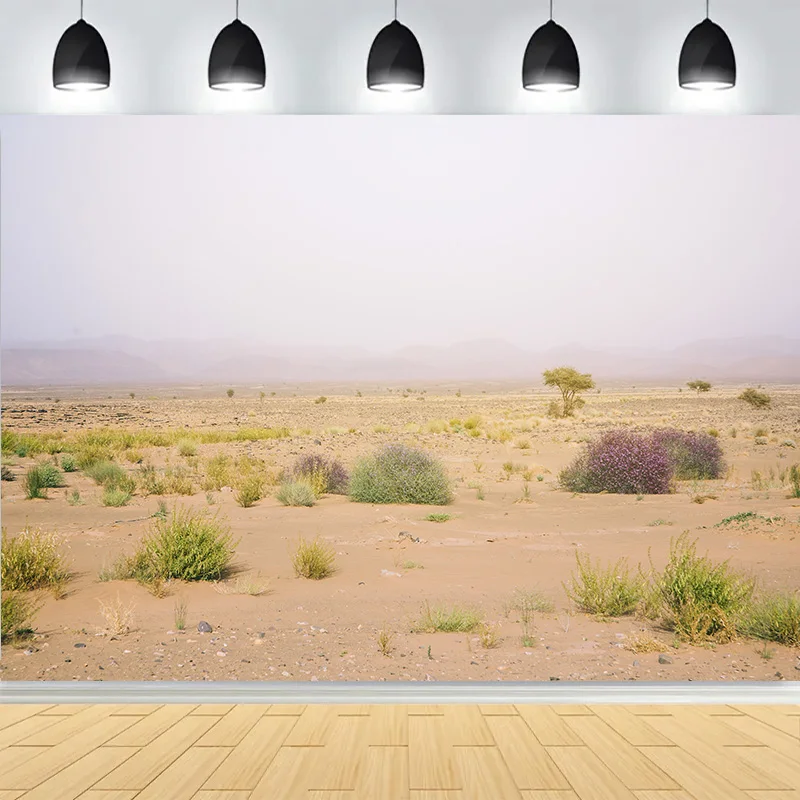 Пейзаж пустыни с кусточками, деревьями, горами, фоны для фотосъемки, кактус, растение, Джошуа, рок-формации, фотофон RD-02