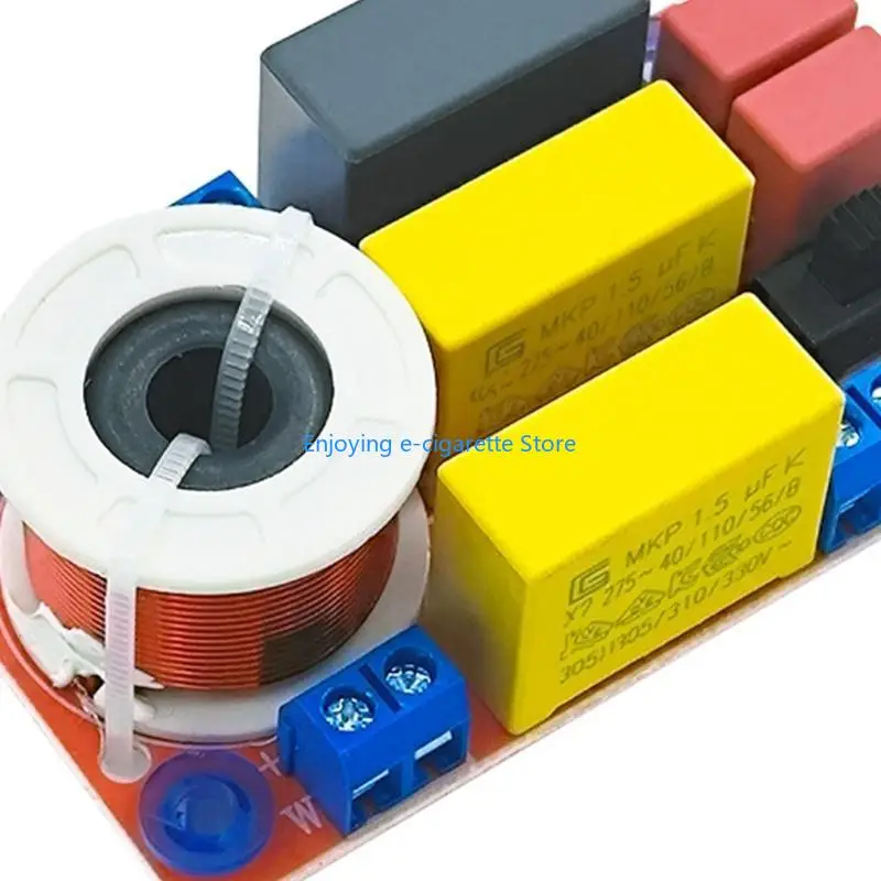 100 W Lautsprecher Frequenz Teiler Bord Höhen Bass 2 Weg Power Sound Crossover Filter Frequenz Verteiler Modul Y4QF – Detail 9