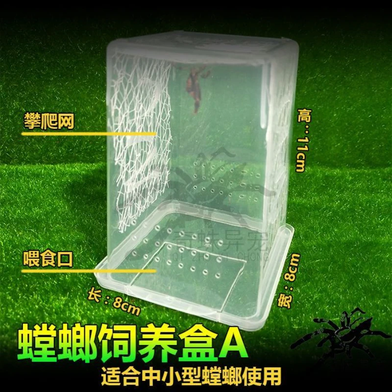 Mantis breeding box, net cage, mantis net cage, insect breeding box, pet box, mantis living body breeding box, reptile box