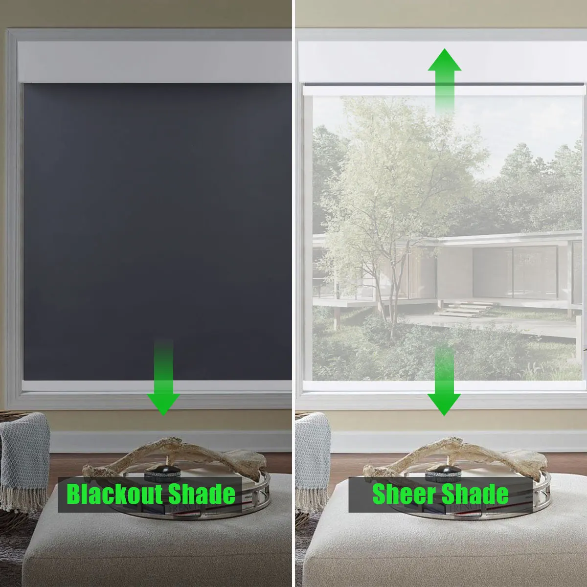 

BOLAIEN Motorized Roller Shades Day Night Cordless Window Blinds Smart Home Control Compatible with Alexa Google Home for Office