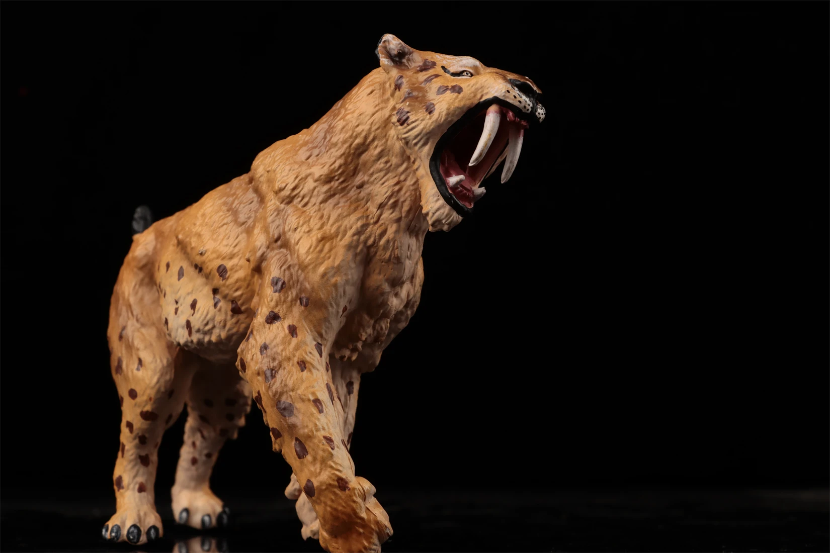 アースストーリースタジオサーベルタイガーモデル先史時代の動物フィギュアマカイロダスコレクションシーン装飾誕生日ギフトおもちゃ