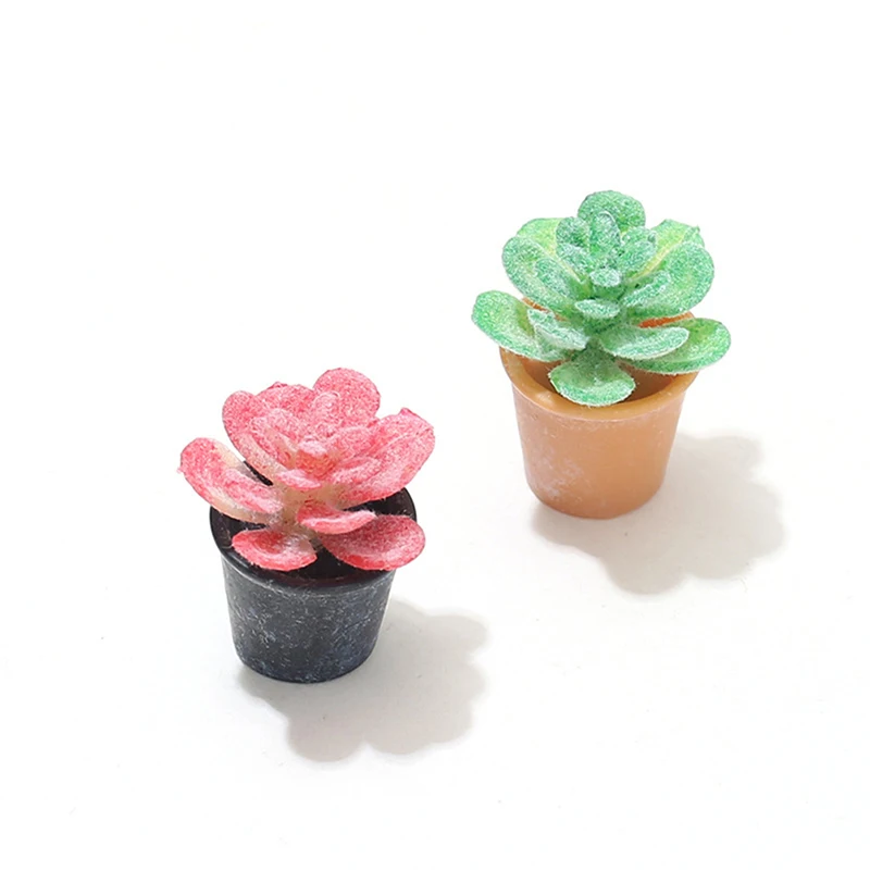 2Pcs Mini Potted Succulent Cactus Plant Model Toys Minaituare Dollhouse Accessories For Garden Scene Doll House Decoration