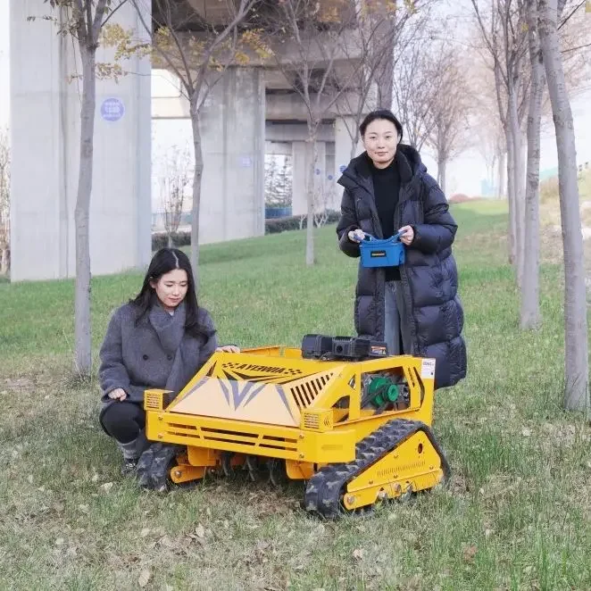 Customized Lawn Mow…