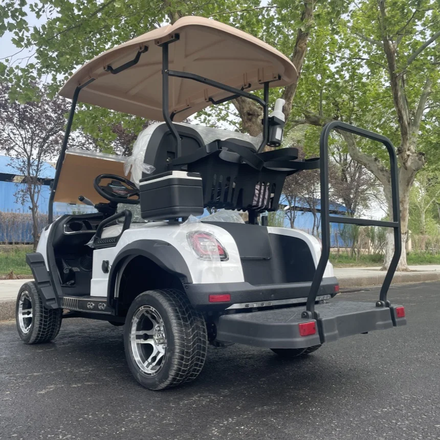 

Factory Direct Sale Electric Golf Cart Prices Are Practical Electric Scooter Global Sale Golf Car Side Mirror With Turning Light