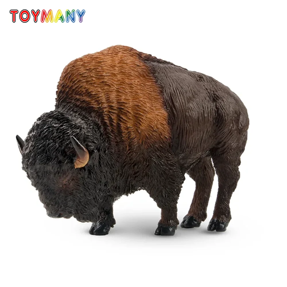 

Toymany Simulation American Bison Wildlife Animal Model Toy Mini Figures Dolls Action Figurines Toys for Children Gift Cake Deco