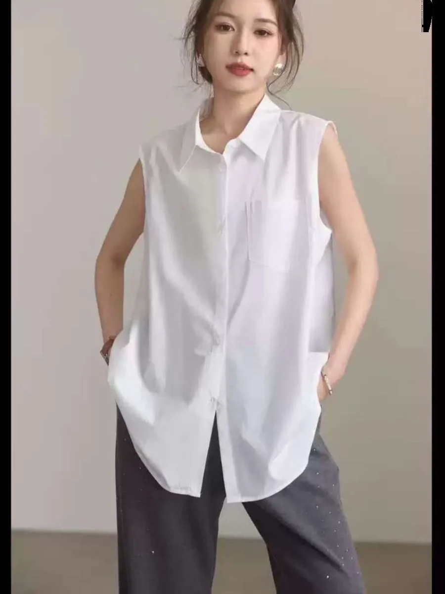 

Casual White Svel irt Women's Early Spring New Sle Inner Wear Large Size Trendy Top Korean Sle Pure Cotton C...