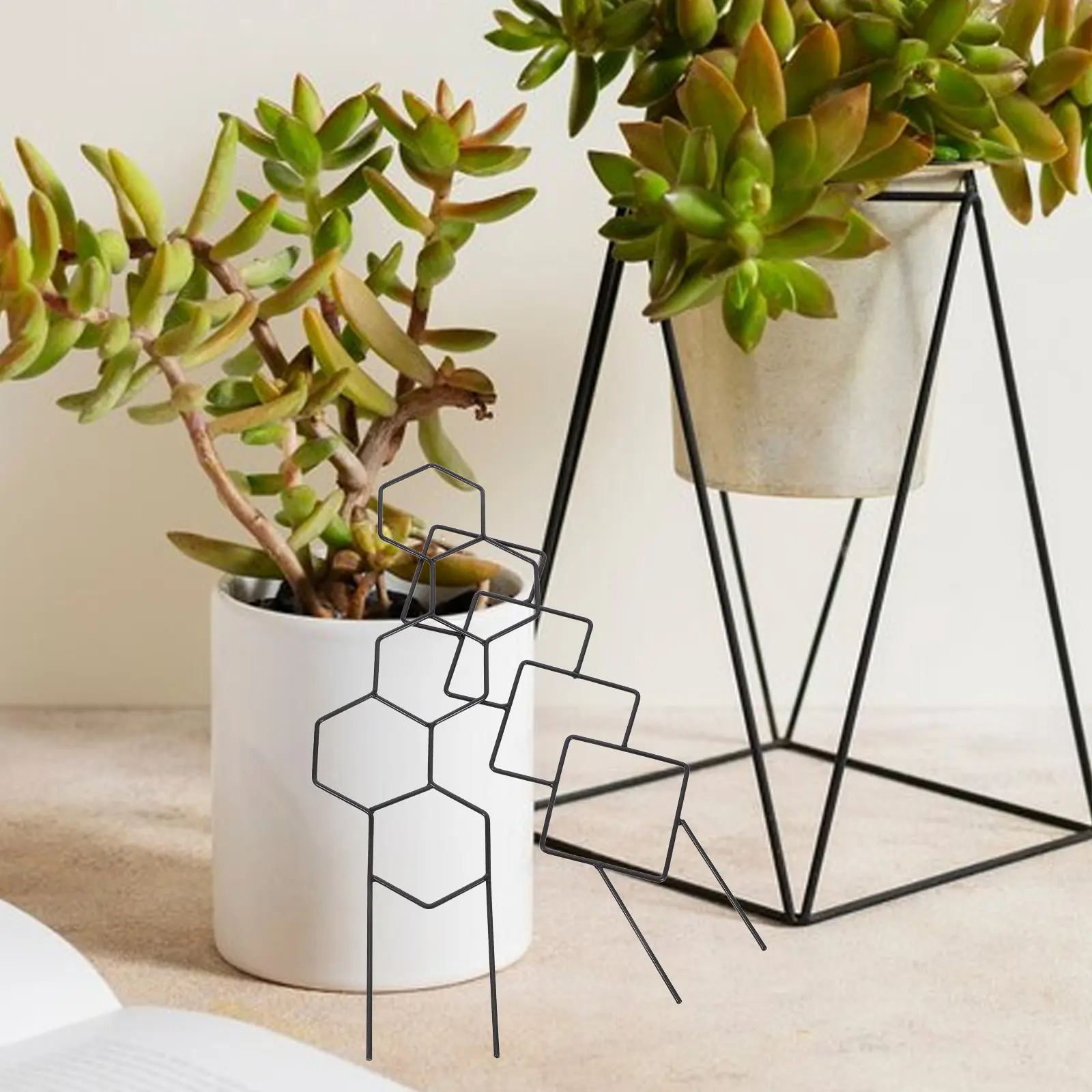 

2 Pcs Plants Garden Trellis for Climbing Potted Dragon Fruit Black Gardenllis Branch