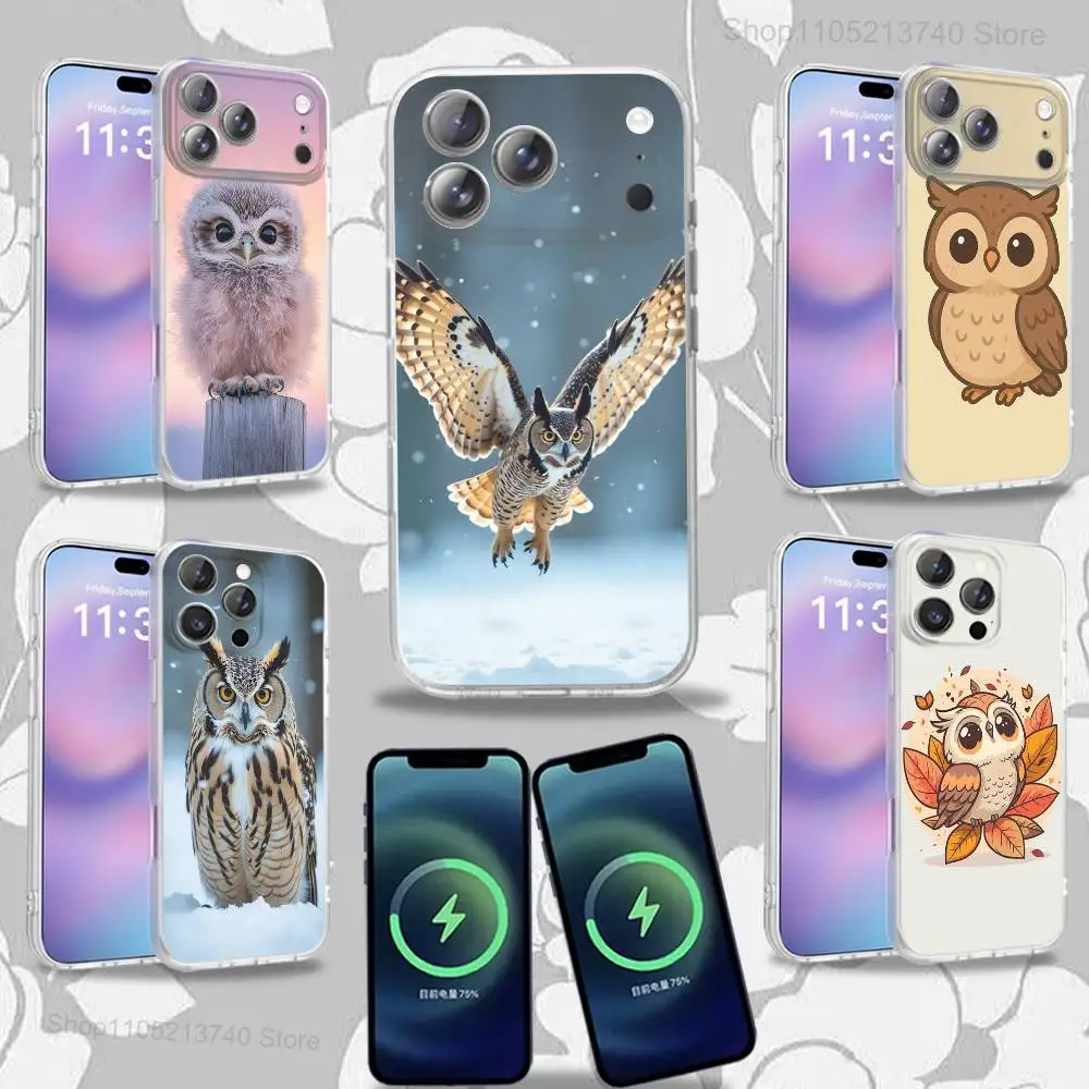 

C-Colorful BBird Cute O-Owl For iPhone 17,12,11,14,13,15,16,Plus,Air,Pro,Max,E,Mini for Magsafe Magnetic Frosted Phone Case