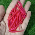 0005 30PCS 01