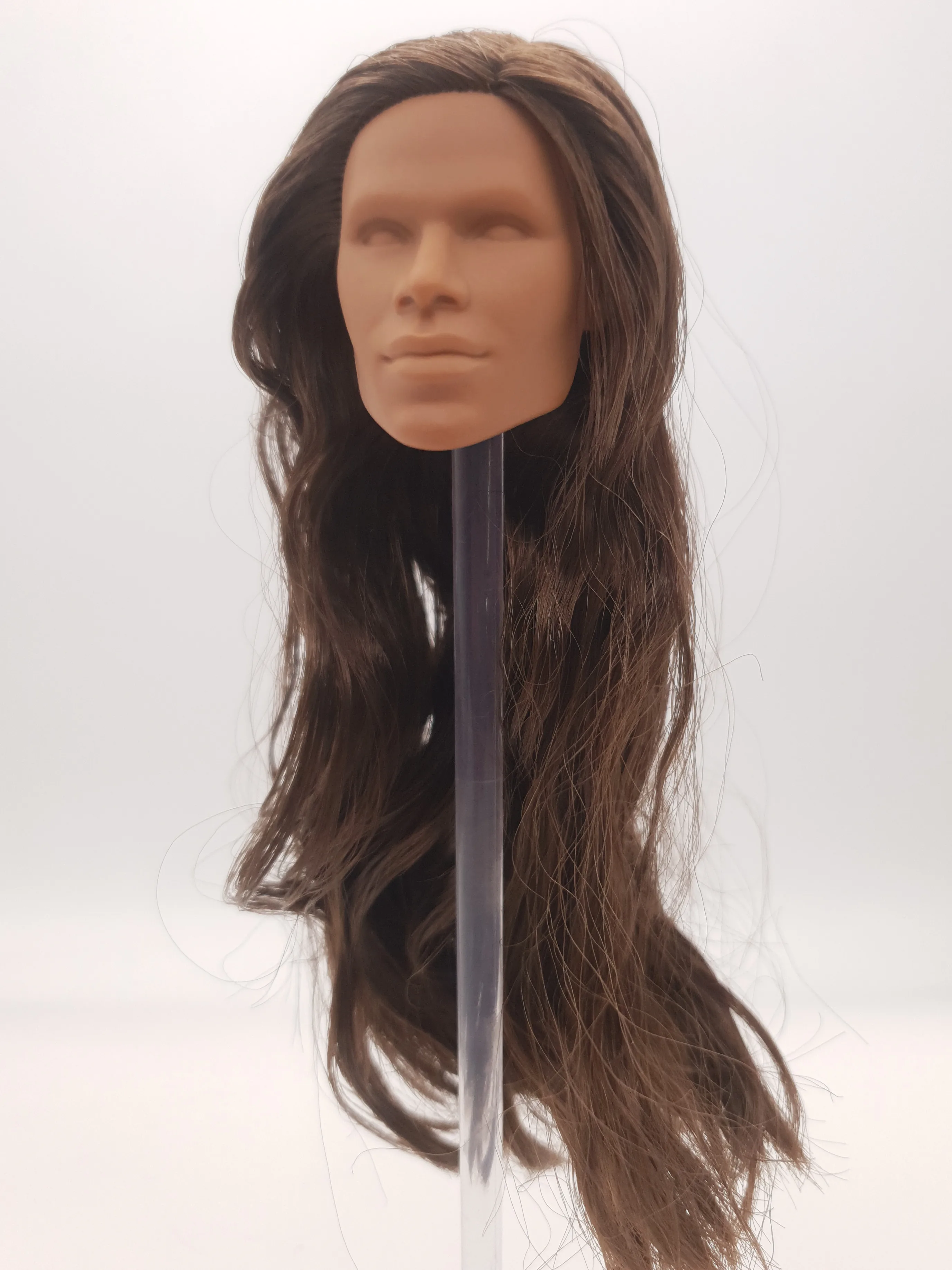 

Fashion Royalty Light Honey Skin Brown Hair Rerooted Tobias Alsford Integrity Homme 1/6 Scale Male Doll Head