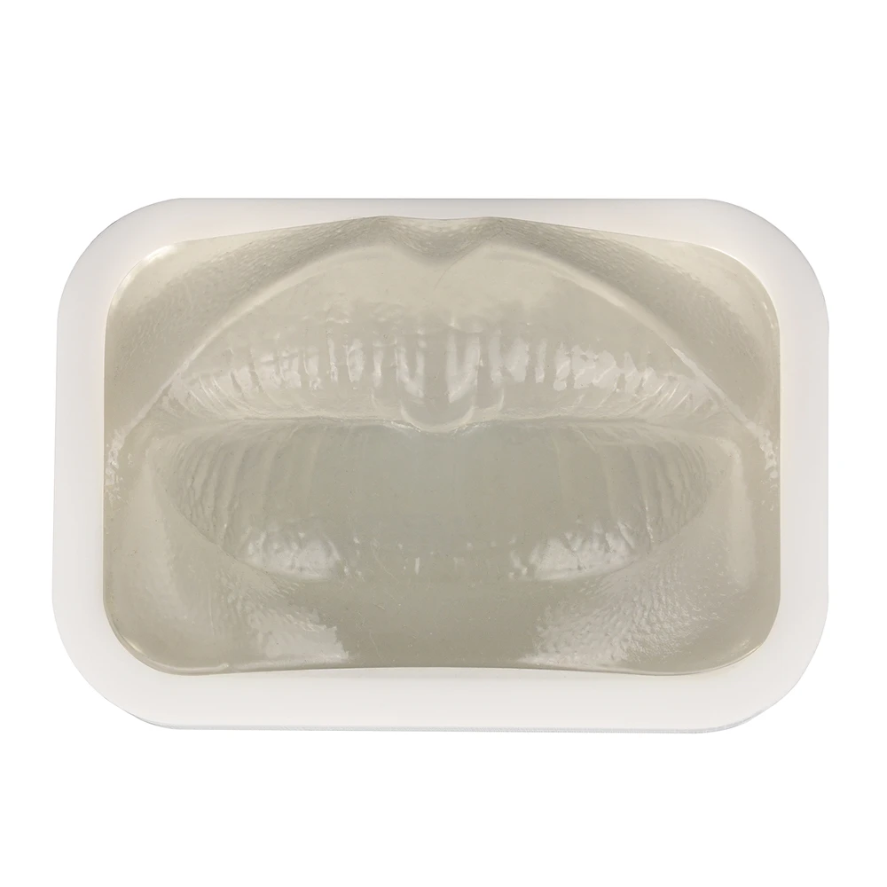 

Transparent Injection Training Lip Model, Thread Facelift Lip Model for Micro-Plastic Teaching