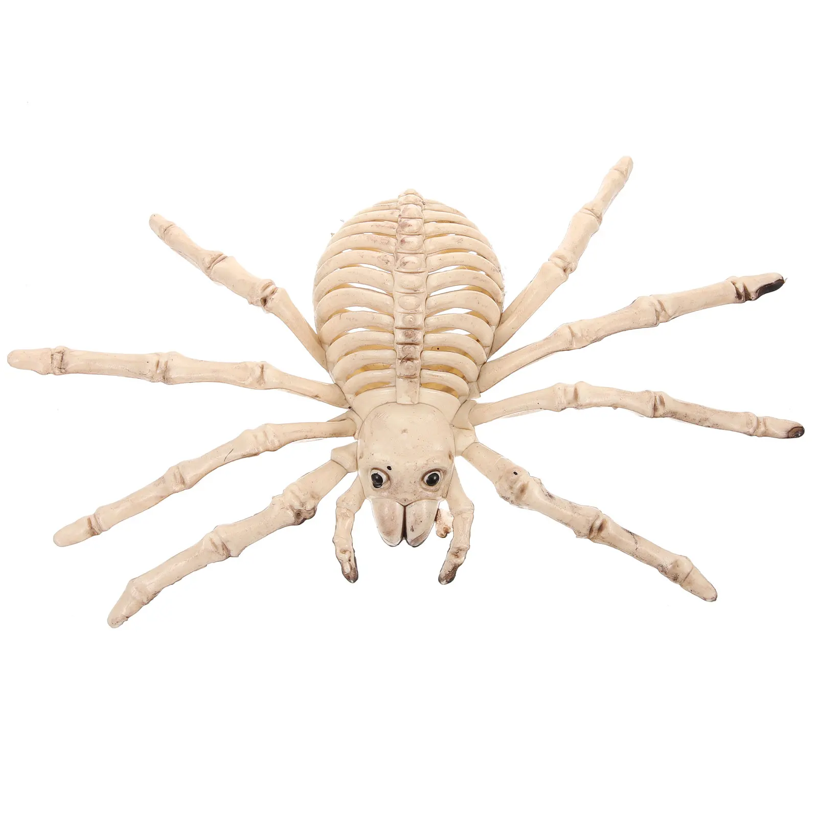 هالوين الجمجمة العنكبوت العظام الزينة البلاستيك الدعائم مخيف شبح الرعب رواية واقعية ABS احتفالية شريط المنزل الطرف #6