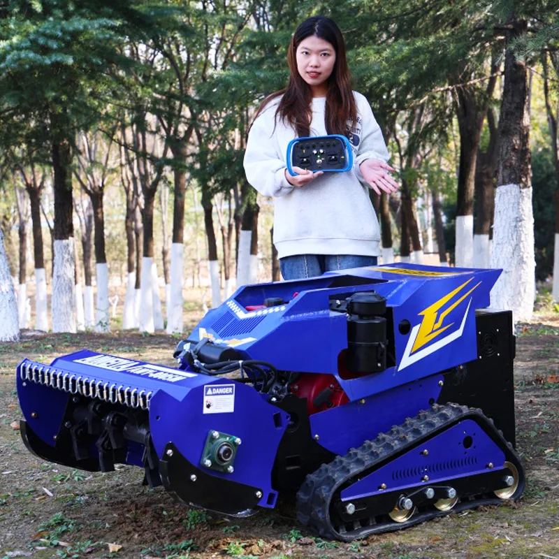 

Customized Professional-Grade Cut lawn mower The Robust Single-Cylinder 4-Stroke Engine