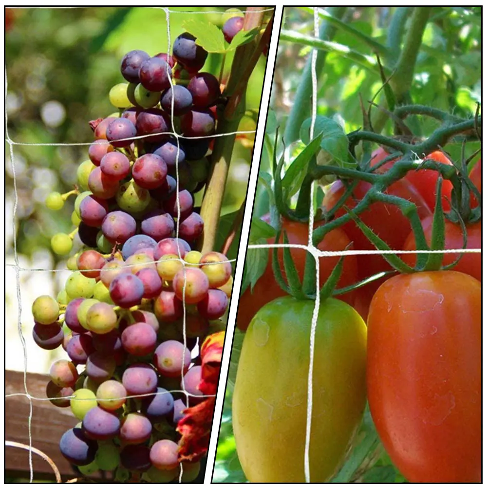 

Climbing Net Plants Gardening Trellis Vine Support Vines Polyester Netting Supplies