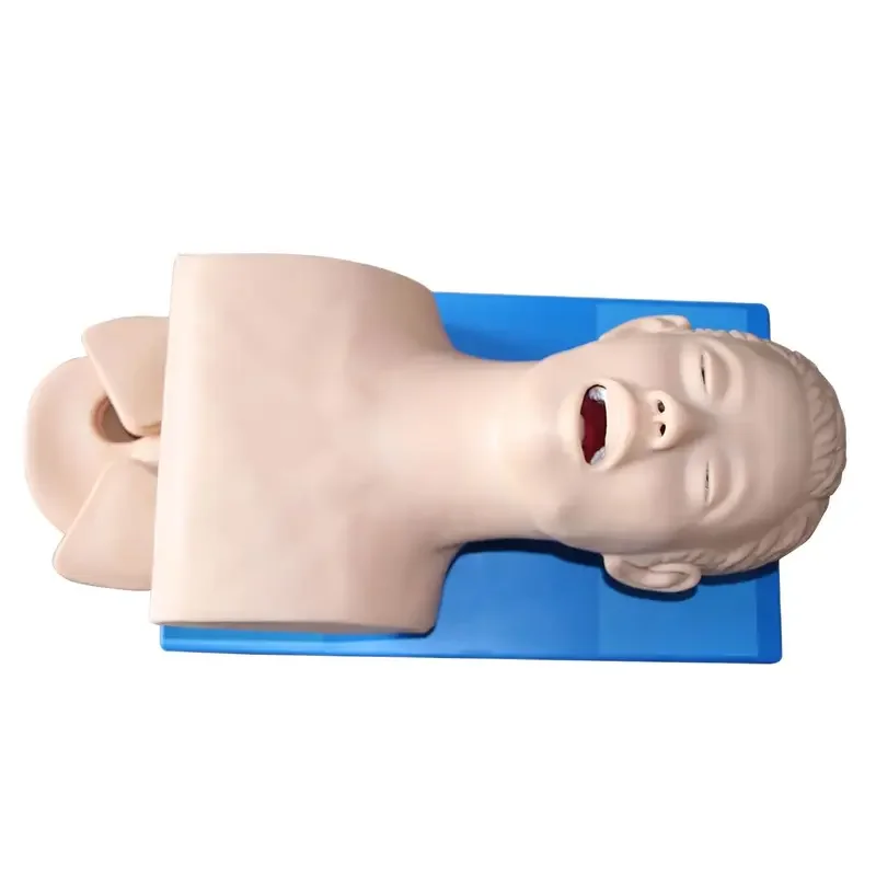 Intubation Manikin Study Teaching Model Airway Management Trainer PVC With Teeth 110-220V