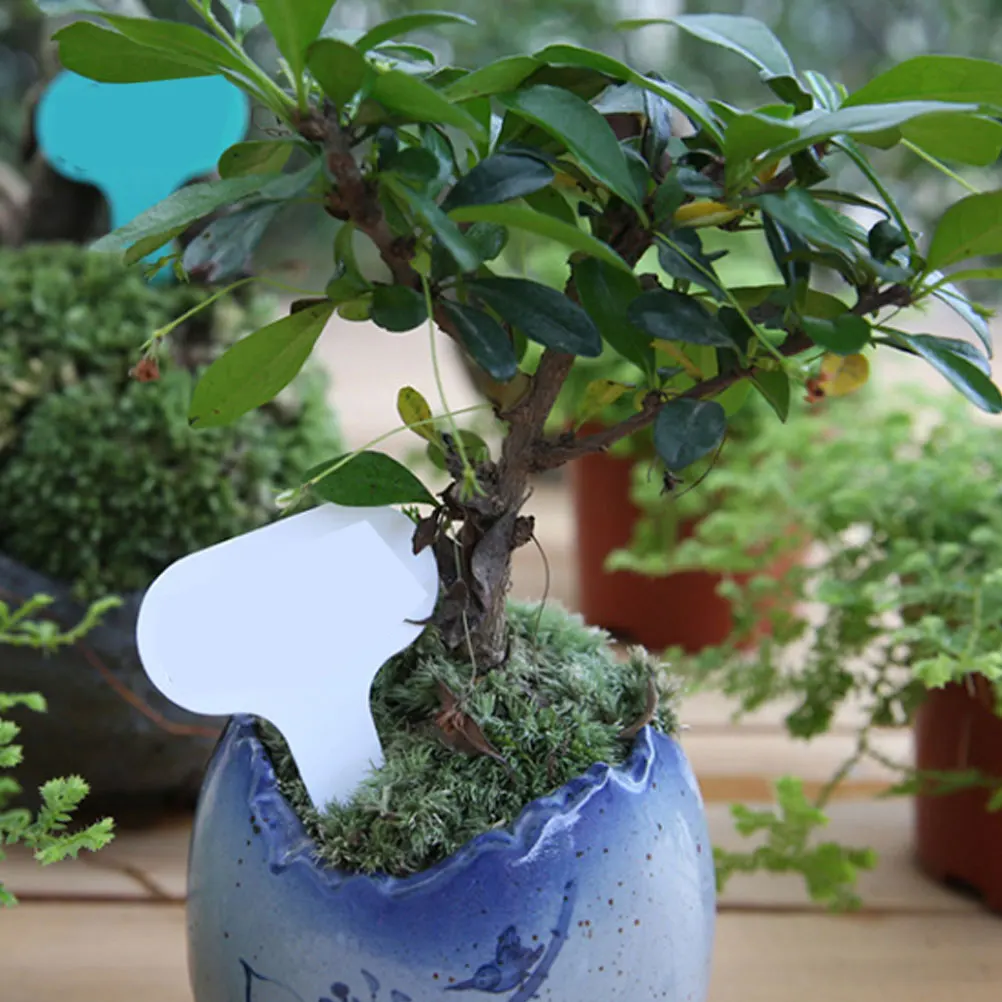 

100pcs T-typed Waterproof Plant Labels Nursery Garden Tags Markers Garden Insert Tag Re-usable Plant Labels (White)