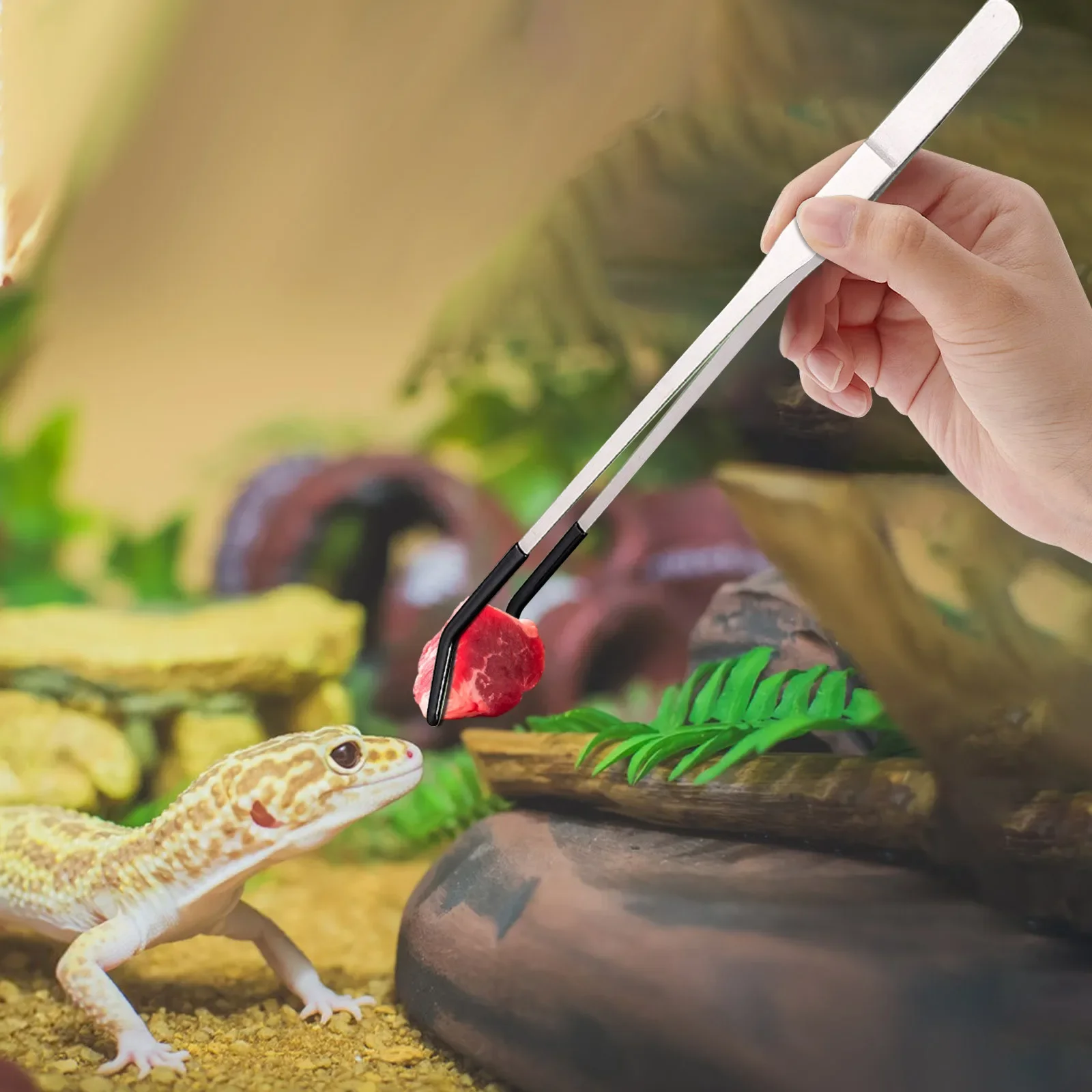 Pinça Longa de Aço Inoxidável para Alimentação de Répteis, Lagartos, Aranhas, Tarântulas, Eráculos, Cobras, Aquário