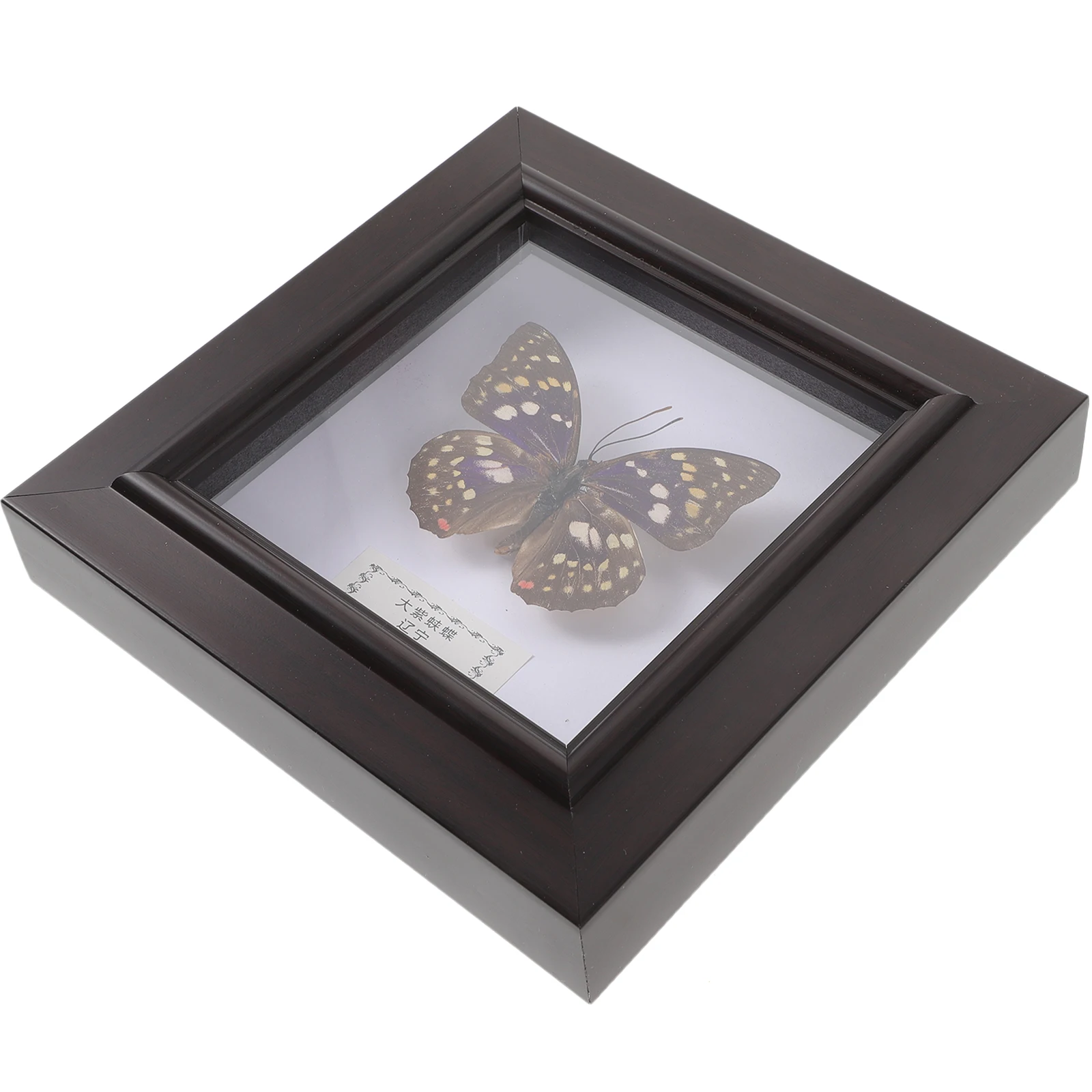 

Simulated Butterfly Specimen Frame Wall Hanging Decor Desktop Ornament Home Office Specimen Display Frame Wooden Plastic
