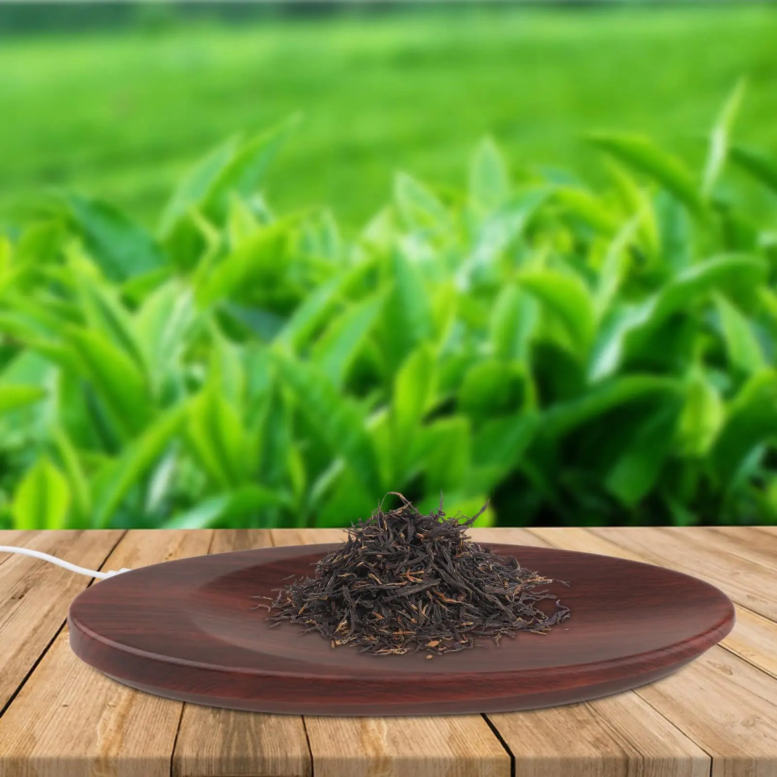 Pocket Mini Scale Gram Scale Tea Brewing Weighing Tool Jewelry Scale Multifunction High Accuracy Tea Leaves Scale Digital Scale