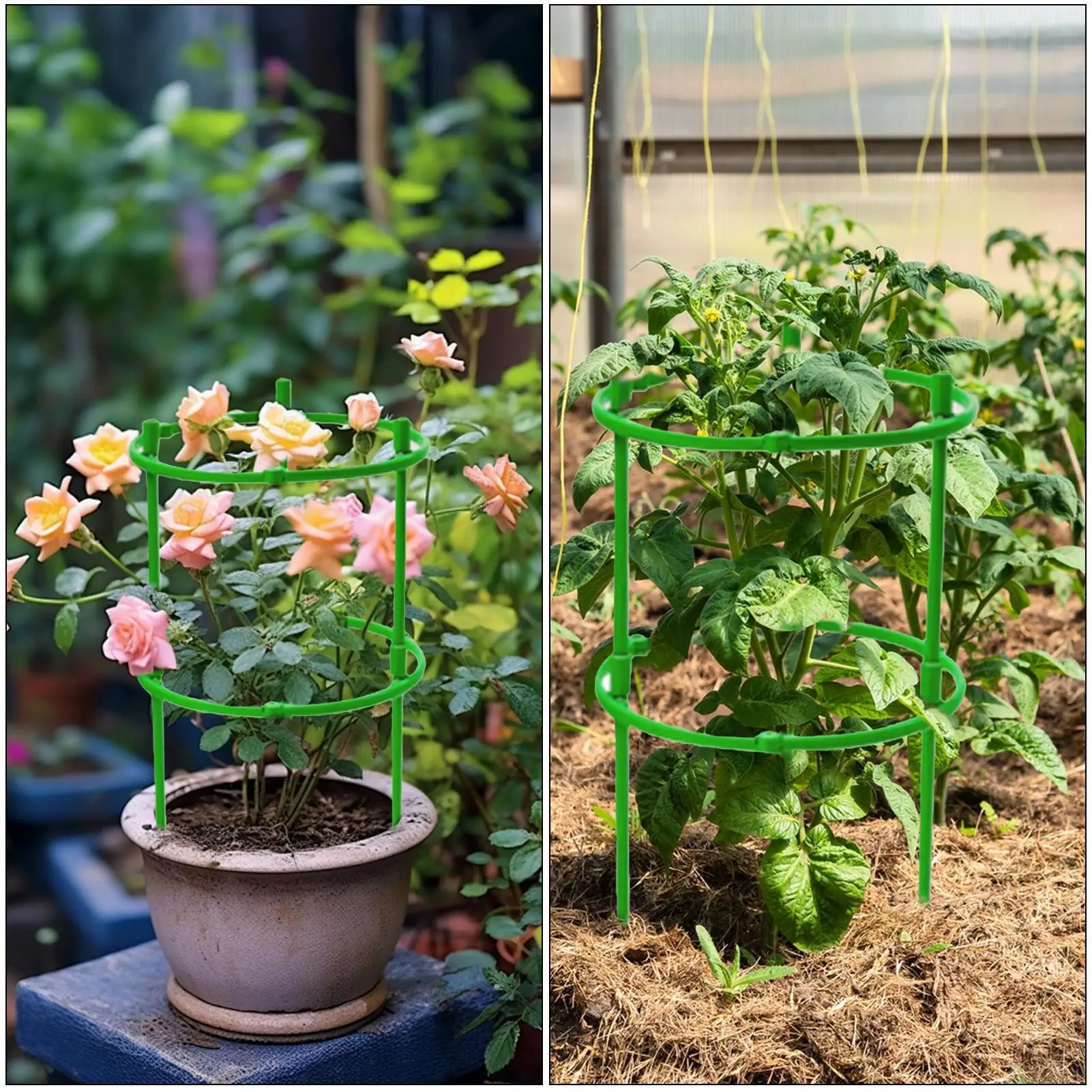 Tomato Plant Support Cage Adjustable Garden Ring Avoiding Overcrowding For Vegetables, Flowers, Fruits, Rose Vine Climbing