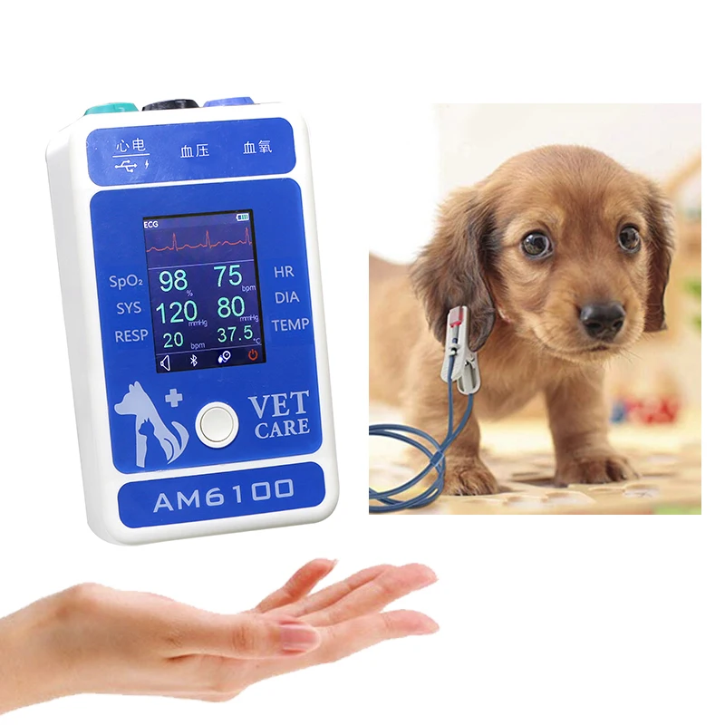 BERRY AM6100 Multiparameter mon itor vet Veterinary med ical de vices for dogs and cats Veterinary monitor etco2