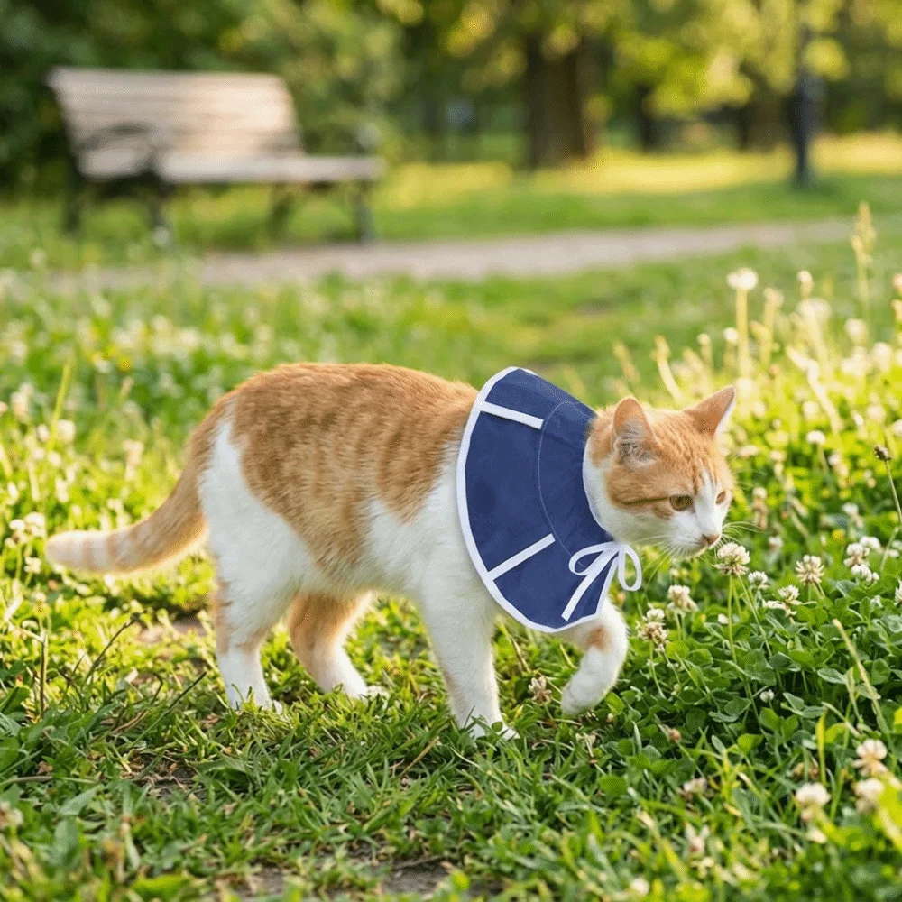 Flexible Surface Elizabethan Collar Adjustable Fit Soft Surface Anti Lick Shield Extended Edge Portable Build Protective Cone